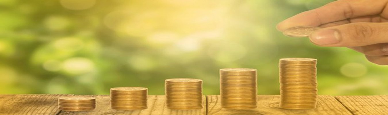 Vaiyagam Finance Limited